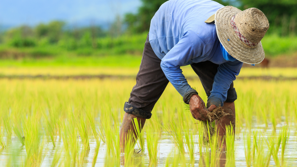 Philippine Labor Law